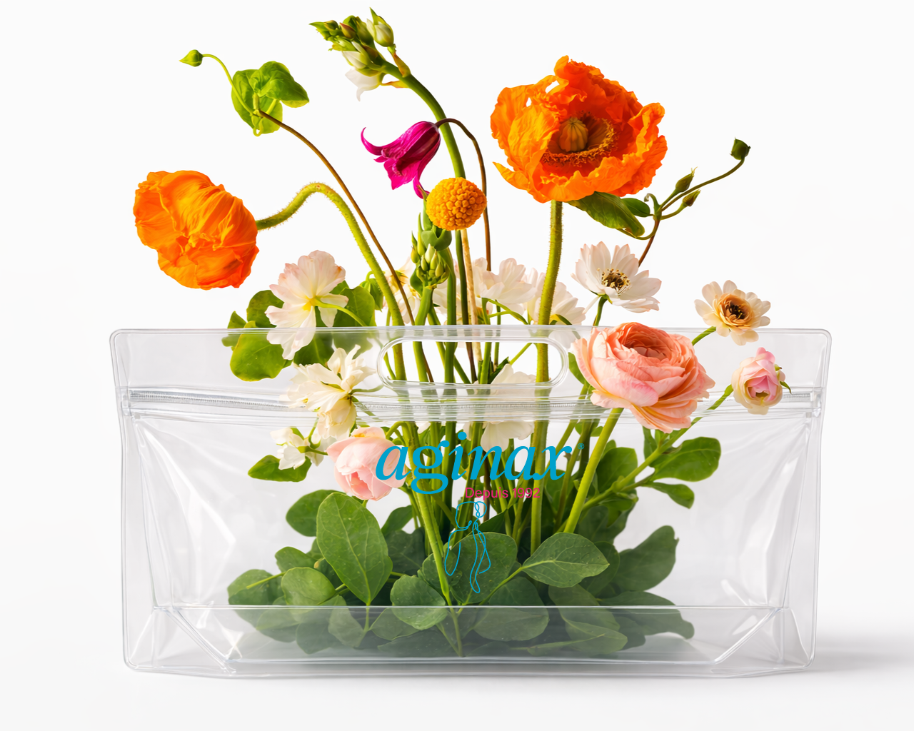 POCHETTE_AGINAX_OFFERTE